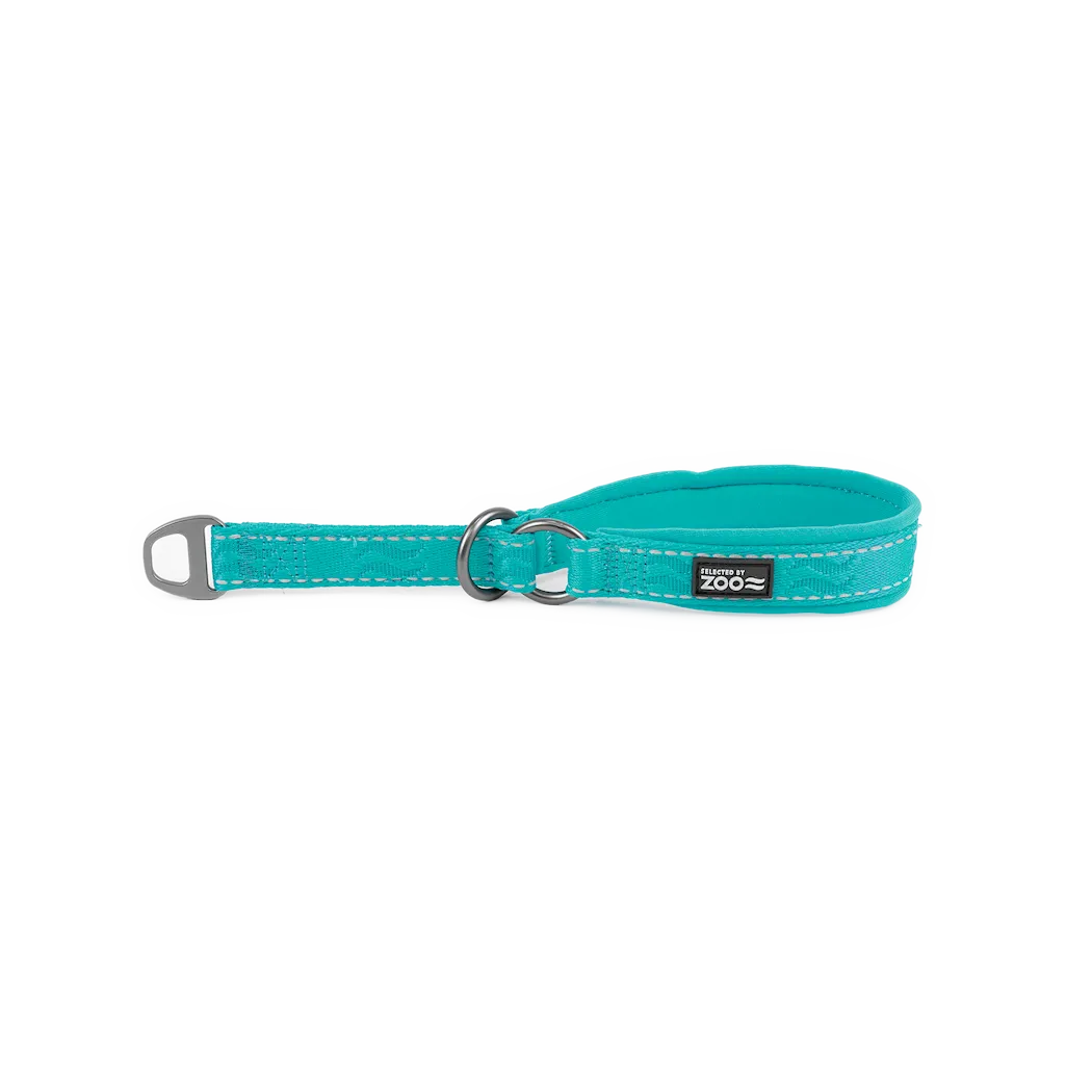 Selected by ZOO Dog Collar Rufus Half Iron, Turquoise - Various sizes - 4