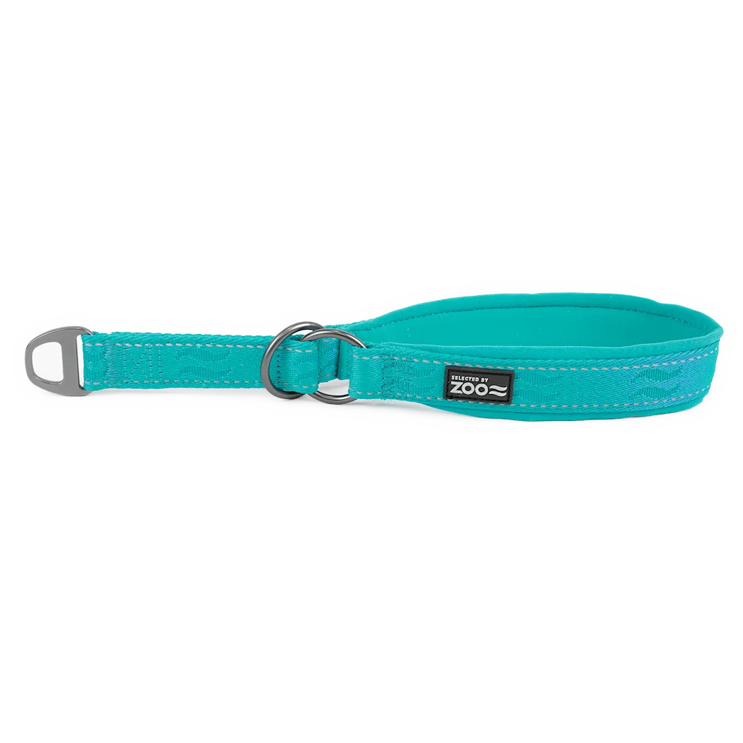 Selected by ZOO Dog Collar Rufus Half Iron, Turquoise - Various sizes - 2