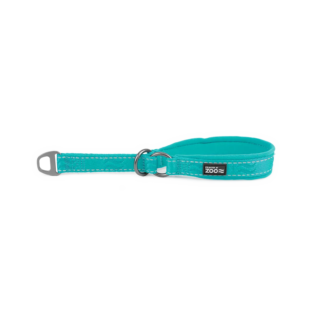 Selected by ZOO Dog Collar Rufus Half Iron, Turquoise - Various sizes - 3
