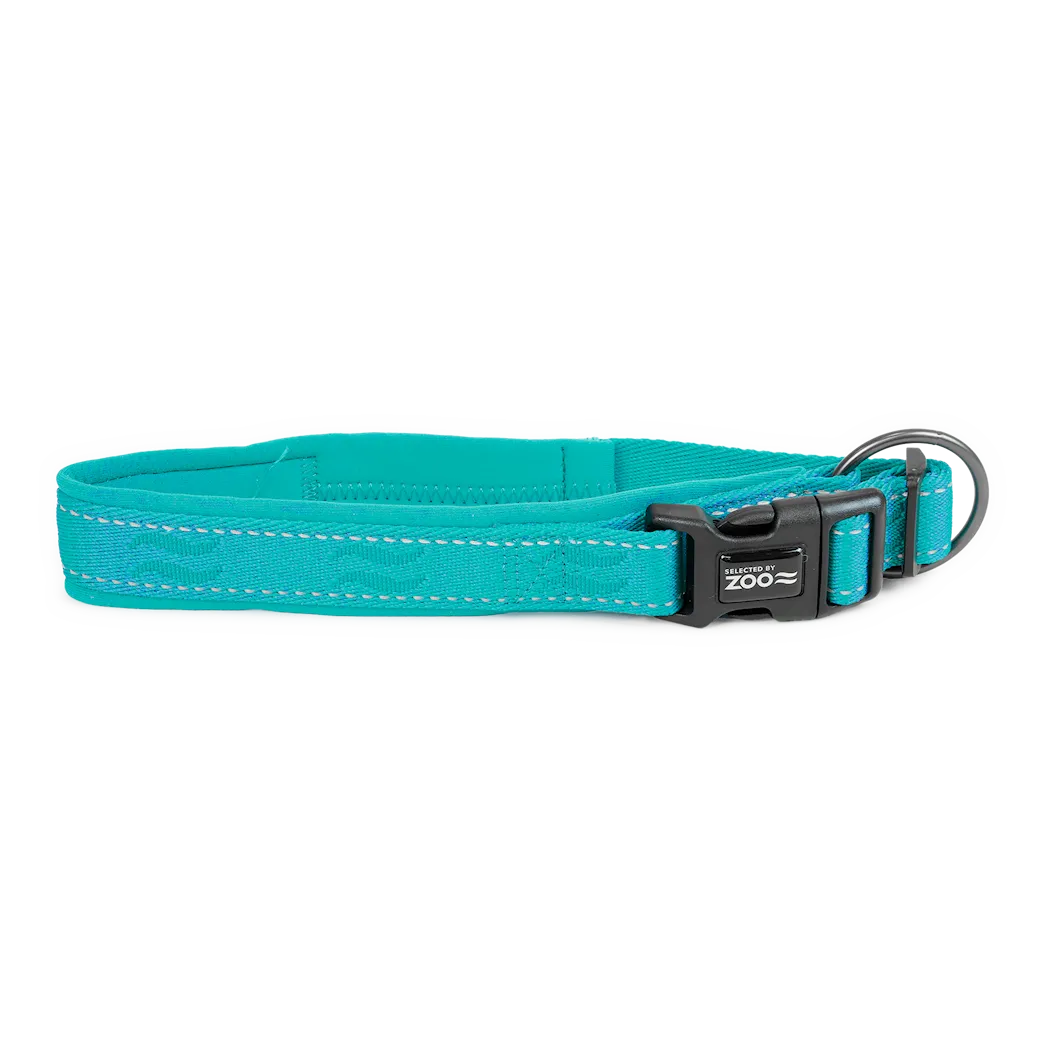 Selected by ZOO Dog collar Rufus padded adjustable, Turquoise - Various sizes - 2