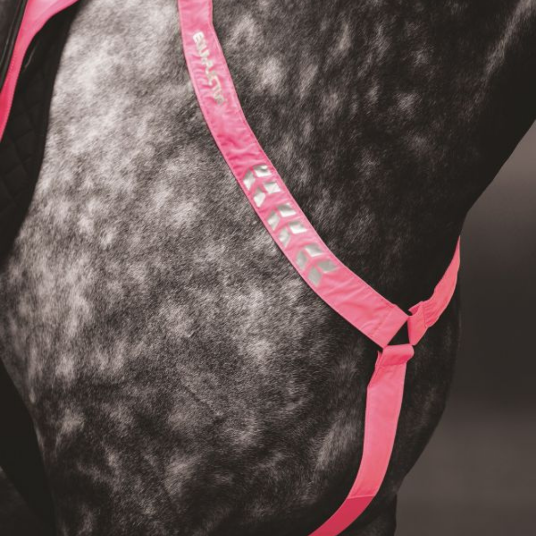 ARMA EQUI-FLECTOR REFLEX CHEST - 6