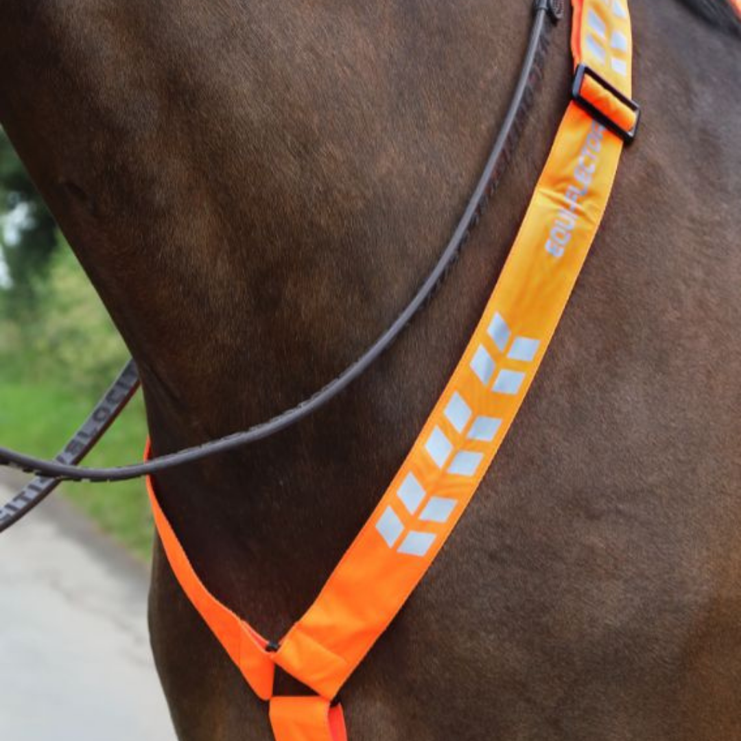ARMA EQUI-FLECTOR REFLEX CHEST - 3