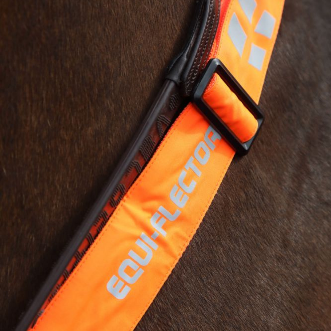 ARMA EQUI-FLECTOR REFLEX CHEST - 4