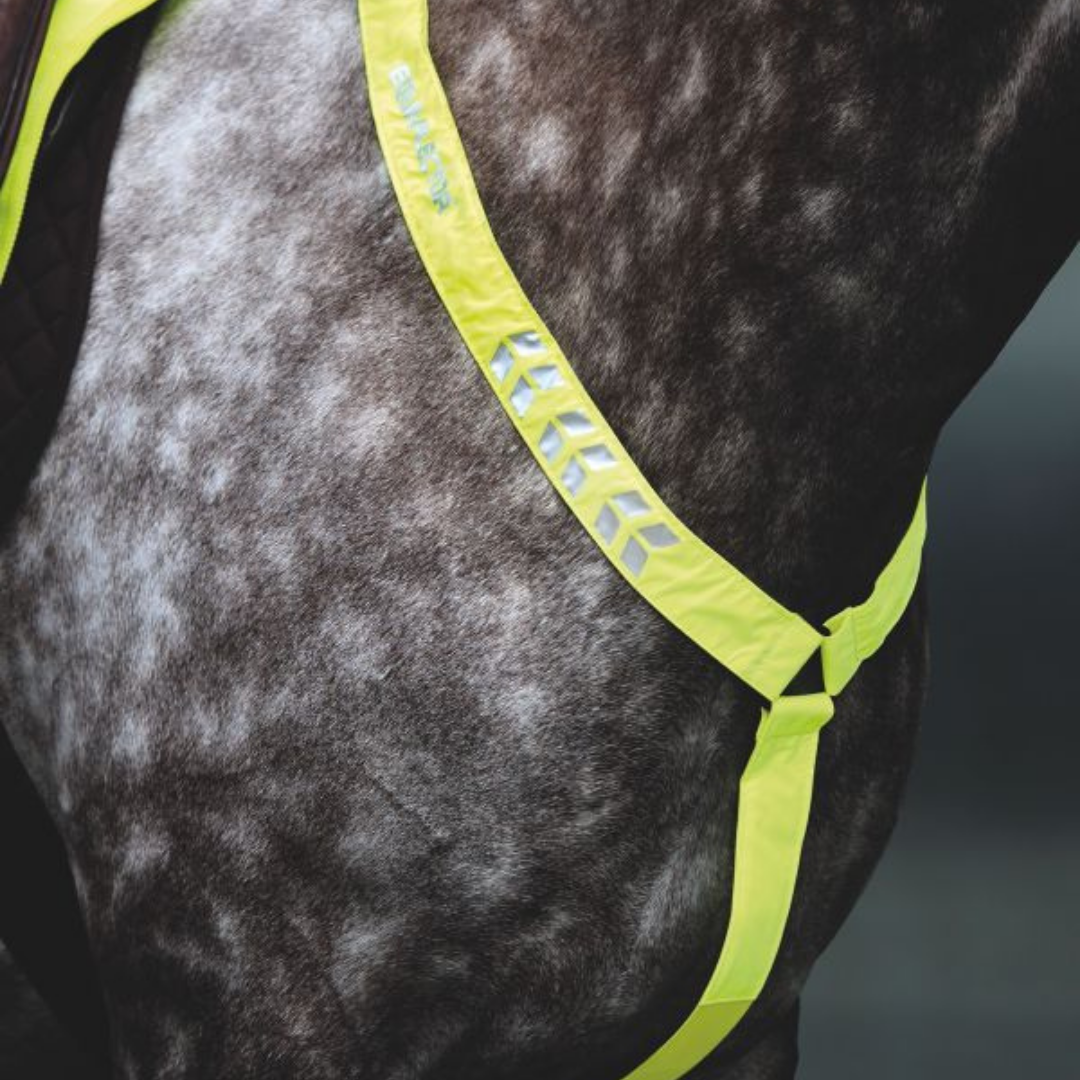 ARMA EQUI-FLECTOR REFLEX CHEST - 5