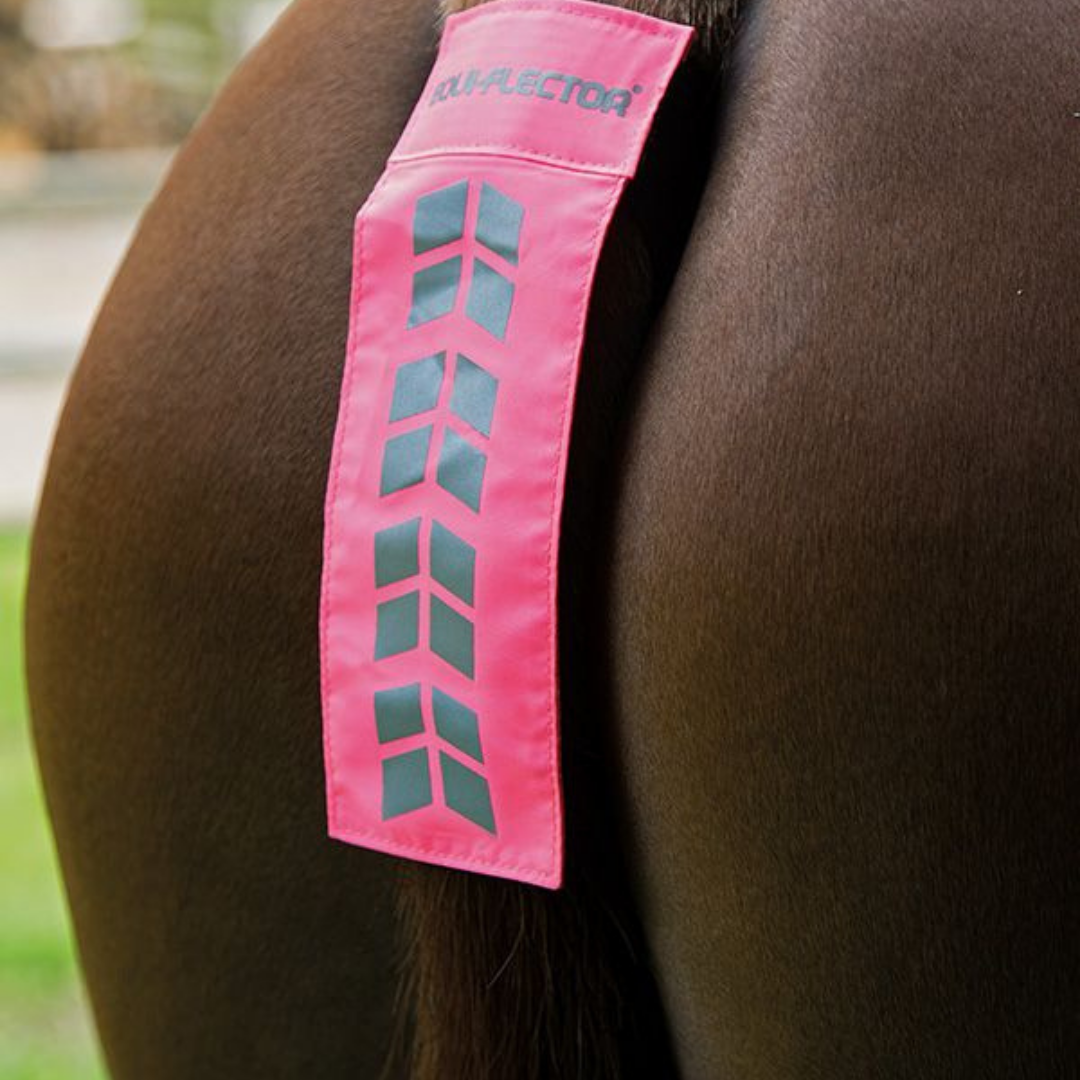 ARMA EQUI-FLECTOR SVANSREFLEX - 3