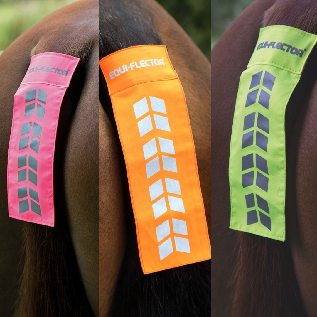 ARMA EQUI-FLECTOR SVANSREFLEX - 2