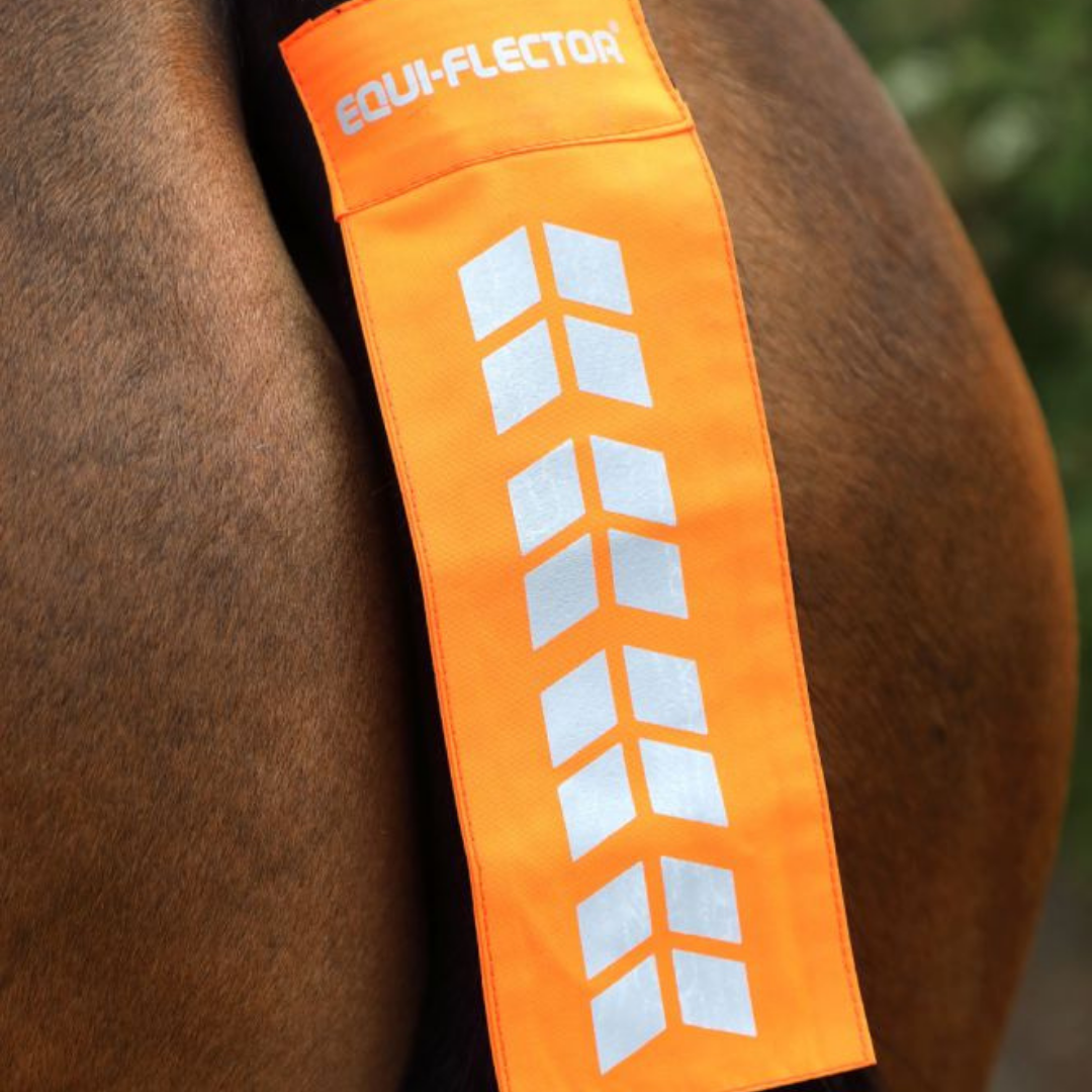 ARMA EQUI-FLECTOR SVANSREFLEX - 4