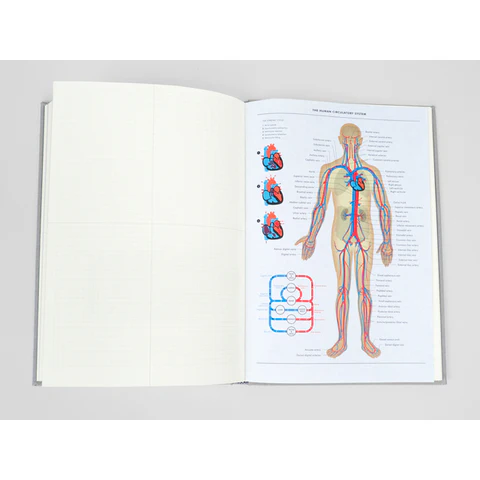 Grids & Guides Notebook, Gray - 6