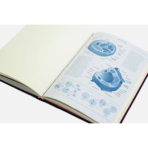 Grids & Guides Notebook, Navy - 6