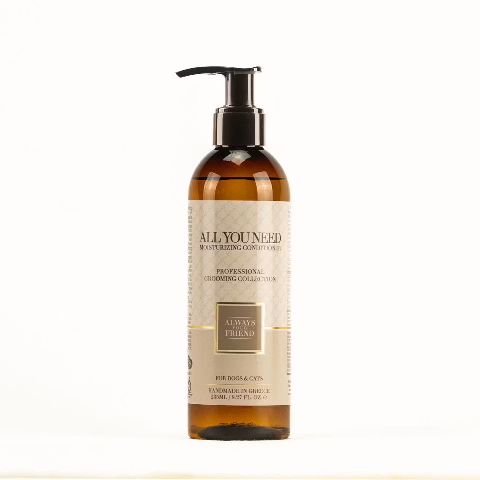 ALWAYS All You Need Conditioner – Deep Moisturizing Care (Professional Line)