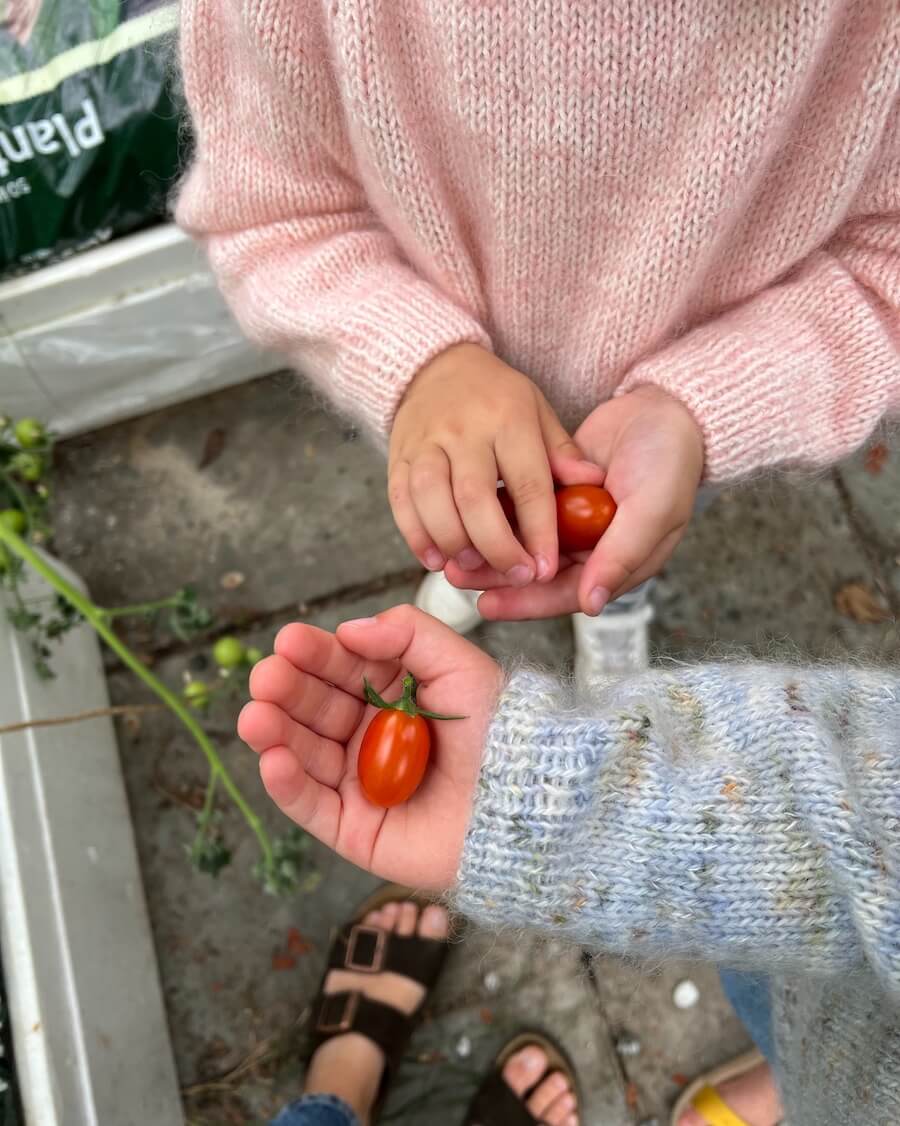 PetiteKnit Monday Sweater Junior (21 m st 4) - 3