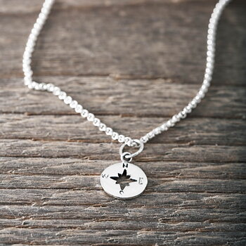 Silverhalsband kompass