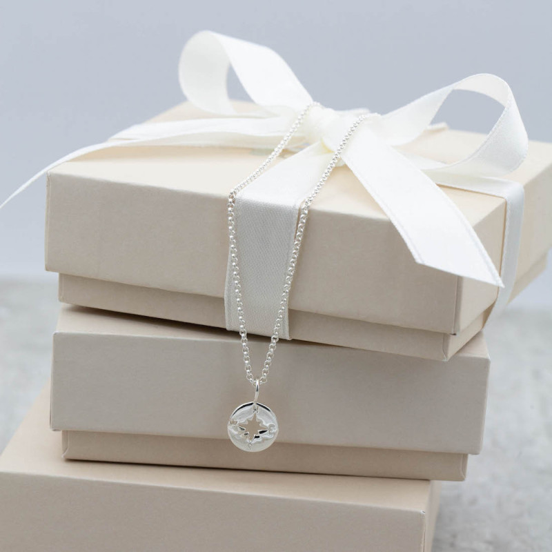 Silverhalsband kompass - 3