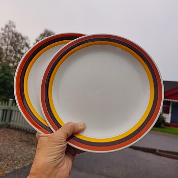  Fokus tallrik från Rörstrand