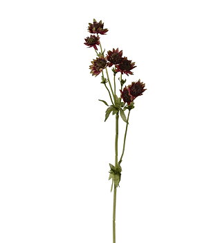 Stjärnflocka burgundy 55 cm