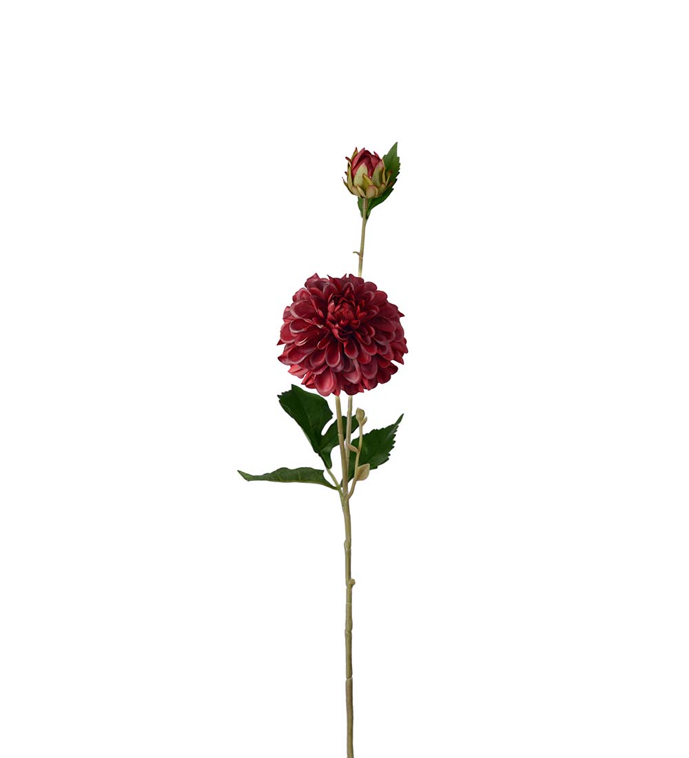 Dahlia burgundy 66 cm