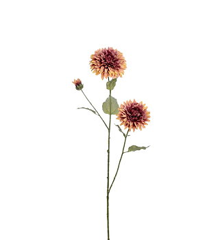 Solros 88 cm