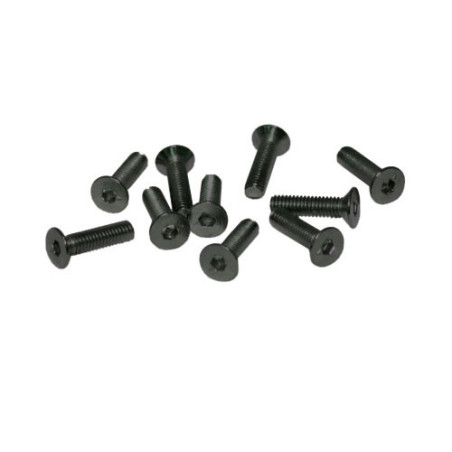 Ultimate Racing UR161416 M4x16mm FLAT HEAD SCREWS (10 pcs)