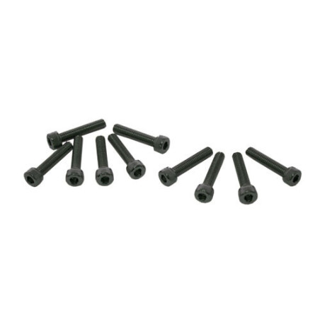 Ultimate Racing UR163420 M4x20mm CAP HEAD SCREWS (10 pcs)