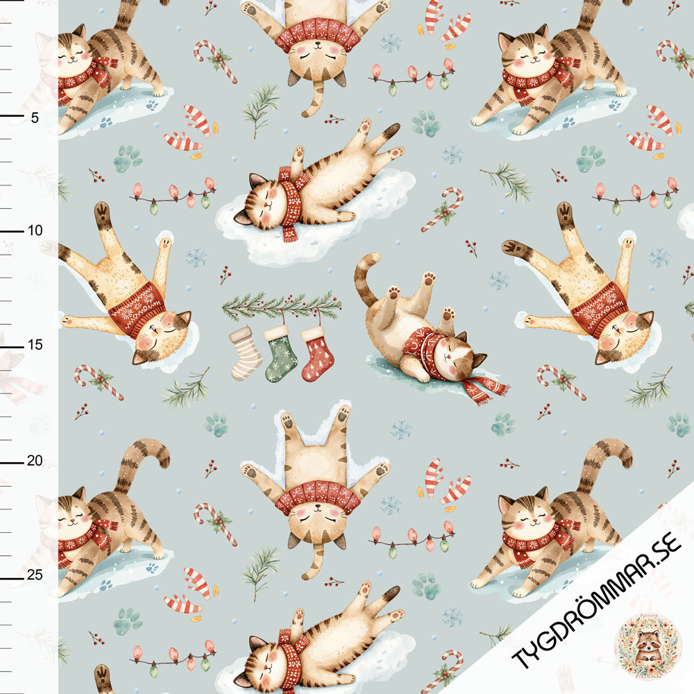 SNOW CATS