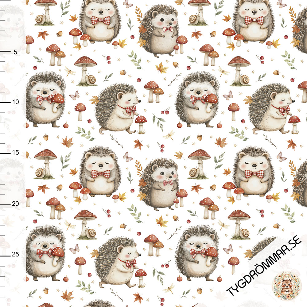 FALL HEDGEHOG