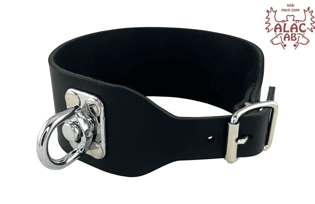 Spårhalsband, svart