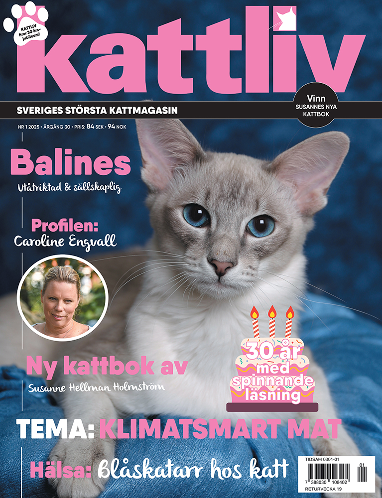 Lösnummer 1/2025