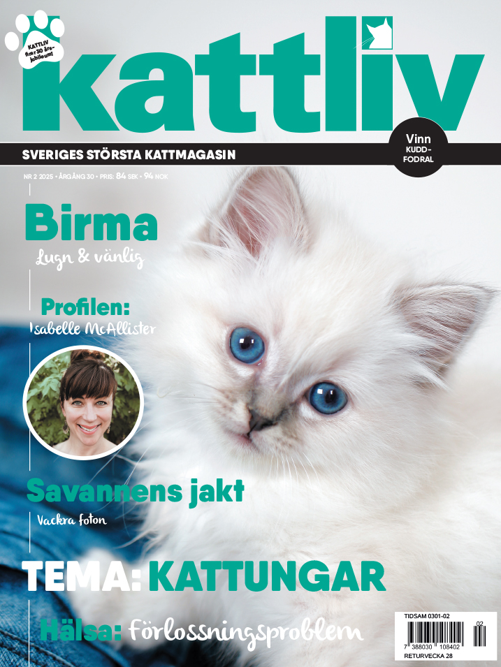 Lösnummer 2/2025
