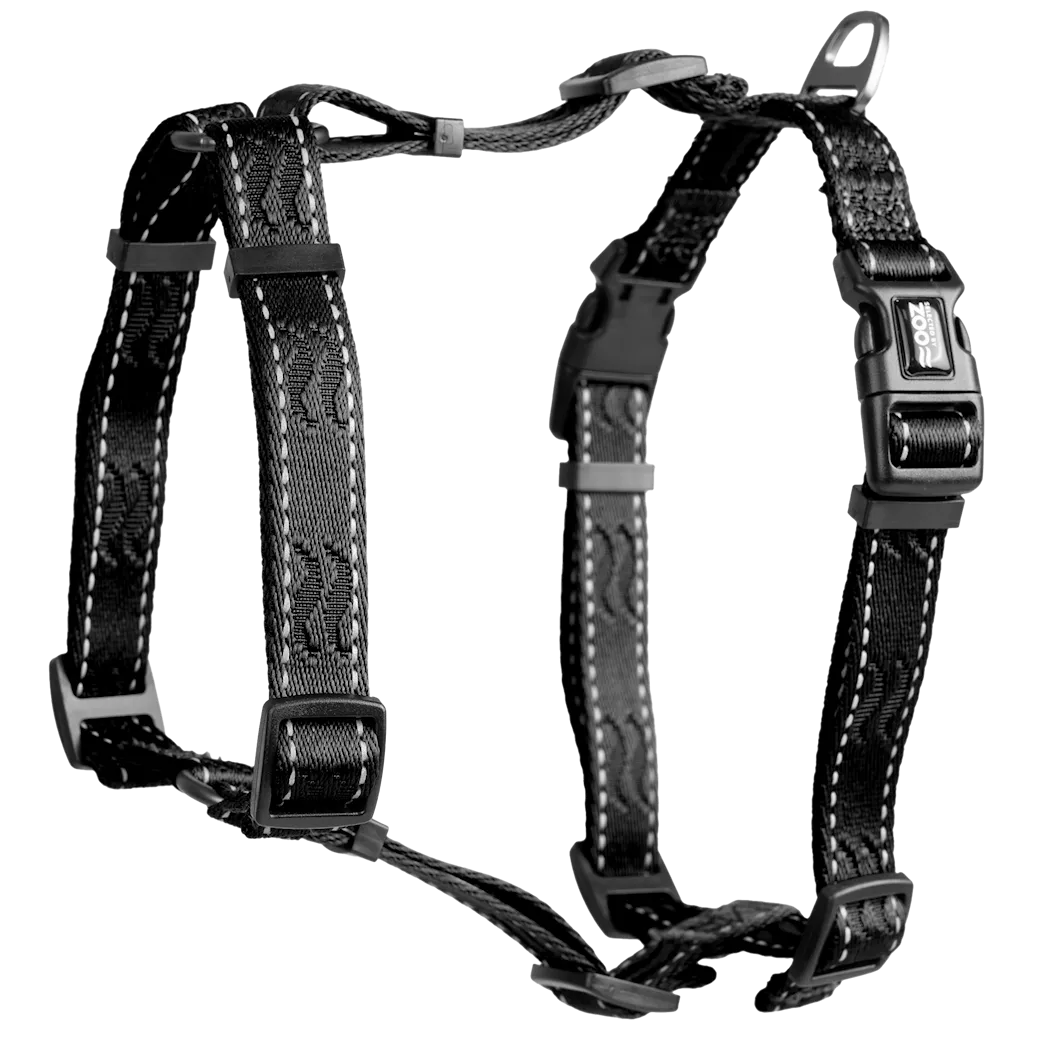 Selected by ZOO Harness Rufus H-harness adjustable, Black - Various sizes