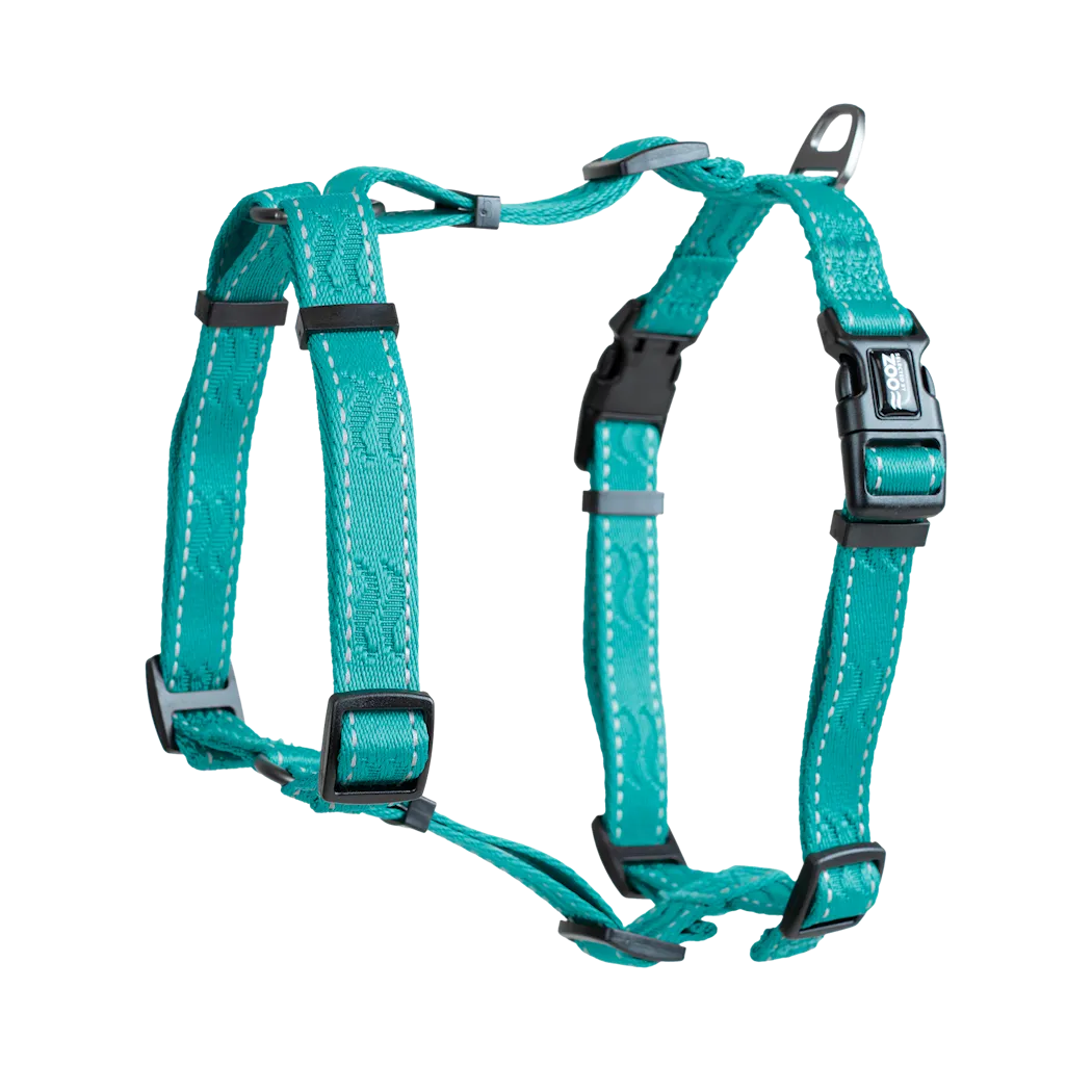 Selected by ZOO Harness Rufus H-harness adjustable, Turquoise - Various sizes - 3