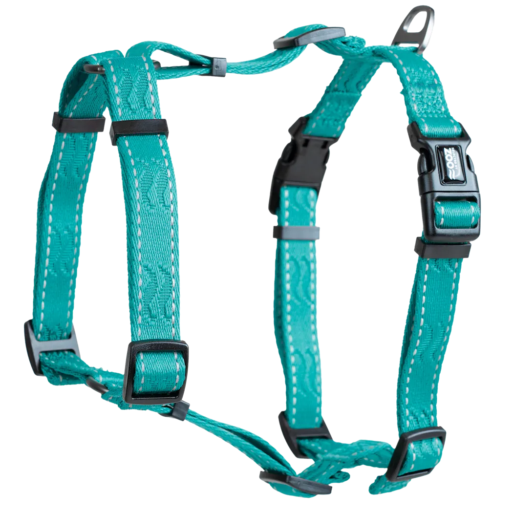 Selected by ZOO Harness Rufus H-harness adjustable, Turquoise - Various sizes