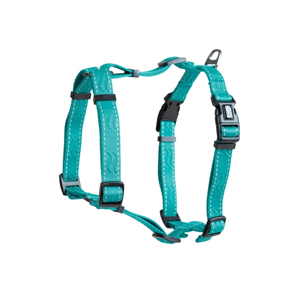 Selected by ZOO Harness Rufus H-harness adjustable, Turquoise - Various sizes - 4