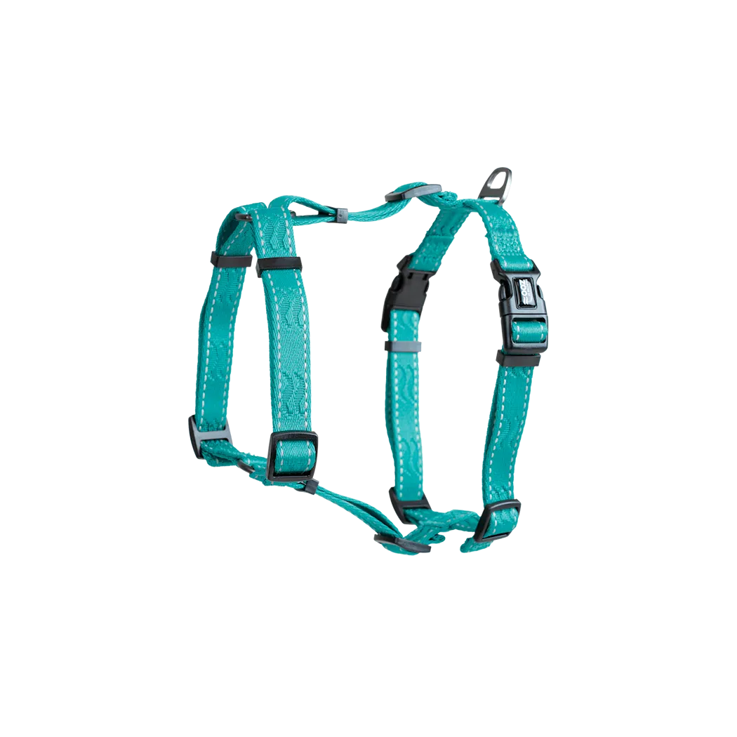 Selected by ZOO Harness Rufus H-harness adjustable, Turquoise - Various sizes - 5