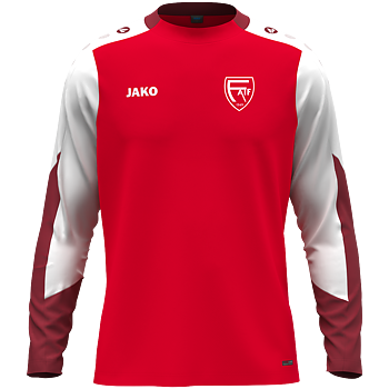 JAKO Longsleeve  Dynamic Herr (Fjärdsjömåla AIF)