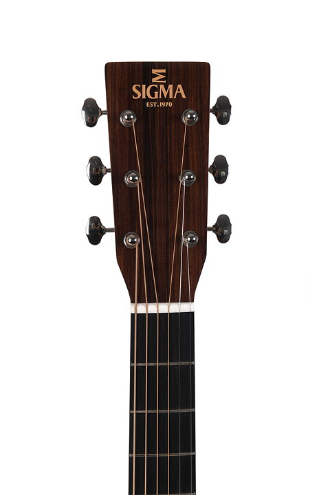 Sigma SDM-18 med gigbag