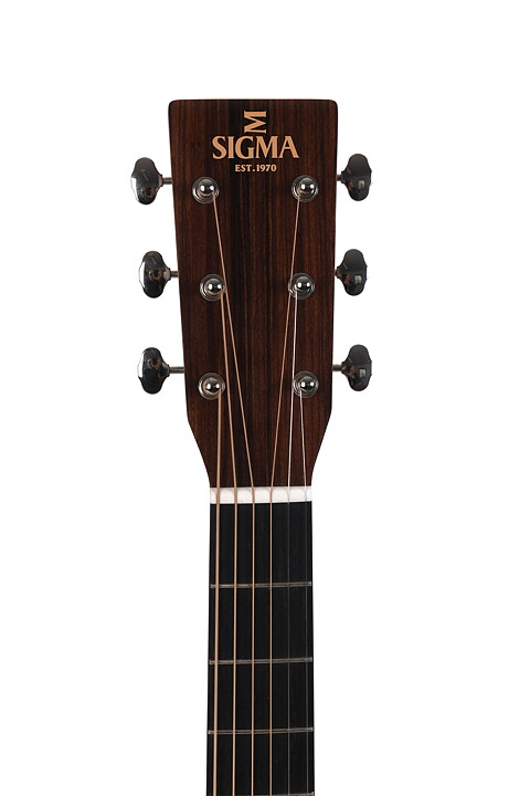 Sigma SDM-18 med gigbag