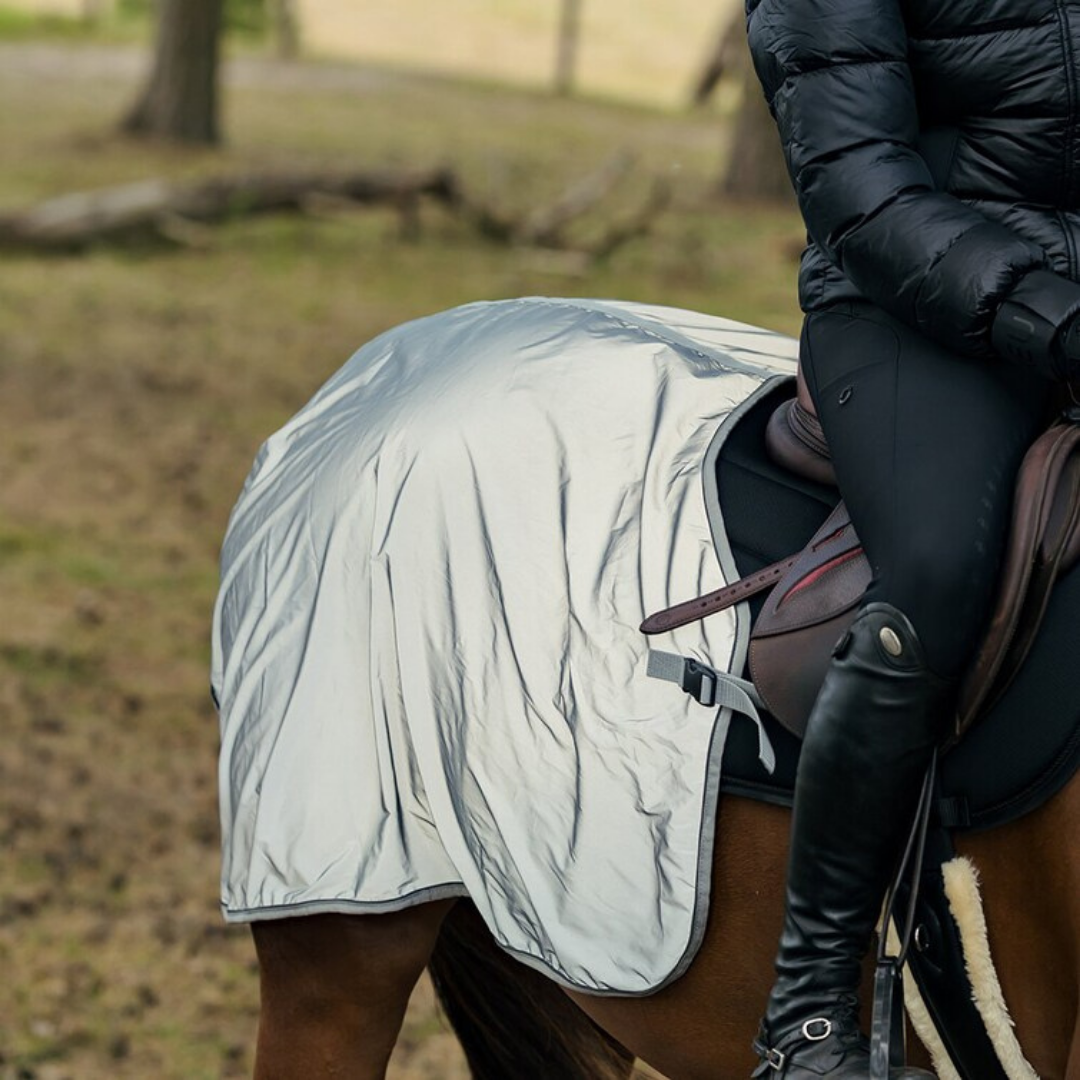  HANSBO SPORT SKRITTÄCKE GLOWGUARD  - 3