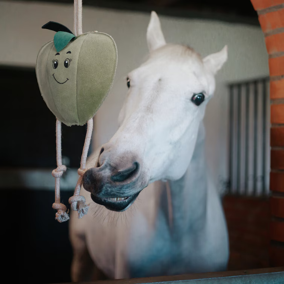 HORSE TOY APPLE - 3