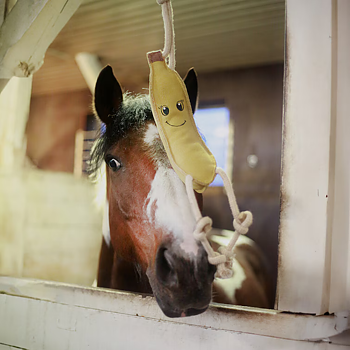HORSE TOY BANANA