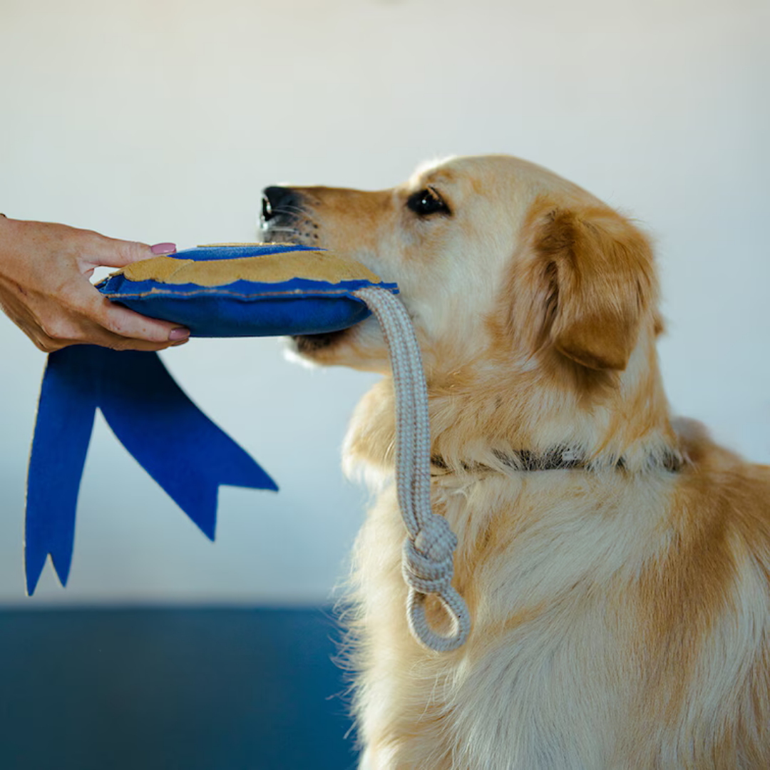 HORSE TOY PRIZE ROSETTE NR1 - 3