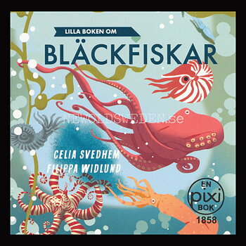 LILLA BOKEN OM BLÄCKFISKAR 1858 - pixiböcker - P38