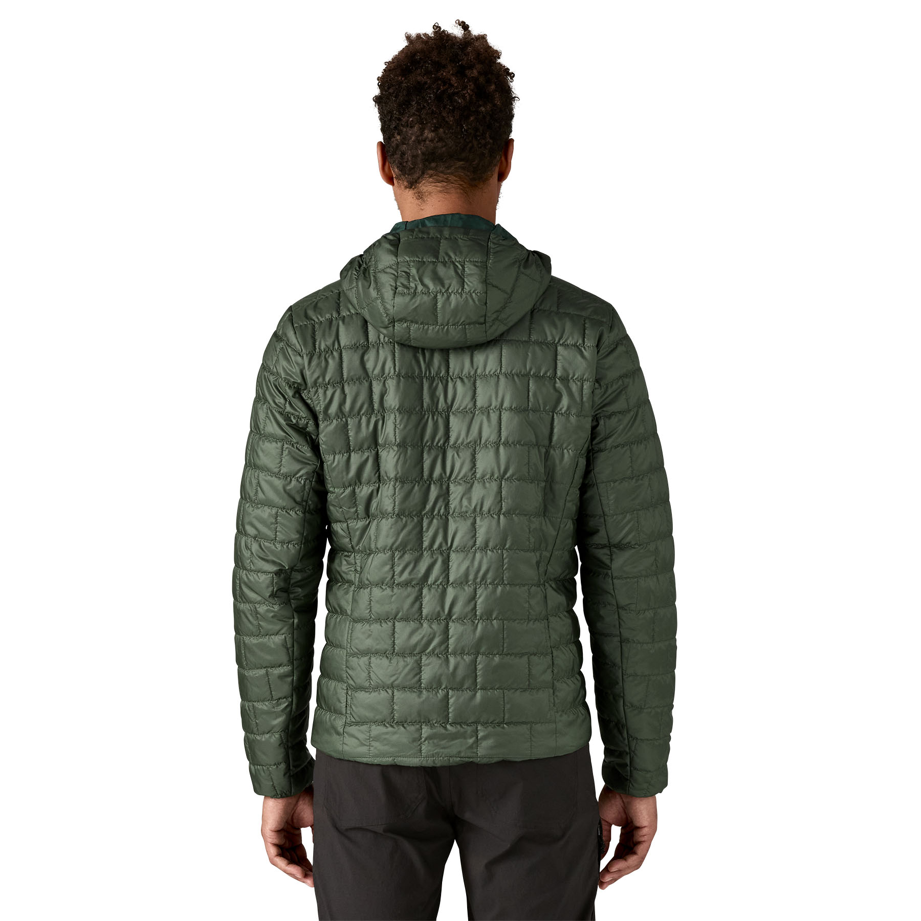 Patagonia Nano Puff Fitz Roy Trout Hoody - Old Growth Green - 3
