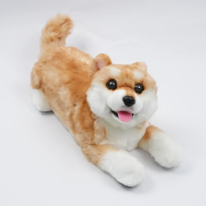 Terapihund Shiba - Digital terapihund