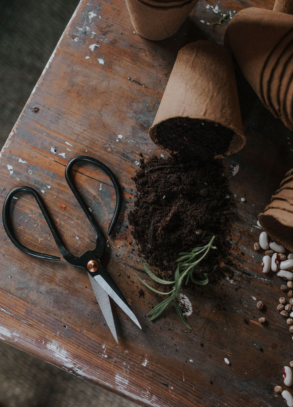 Sax i smide - Trädgårdssax - 17cm