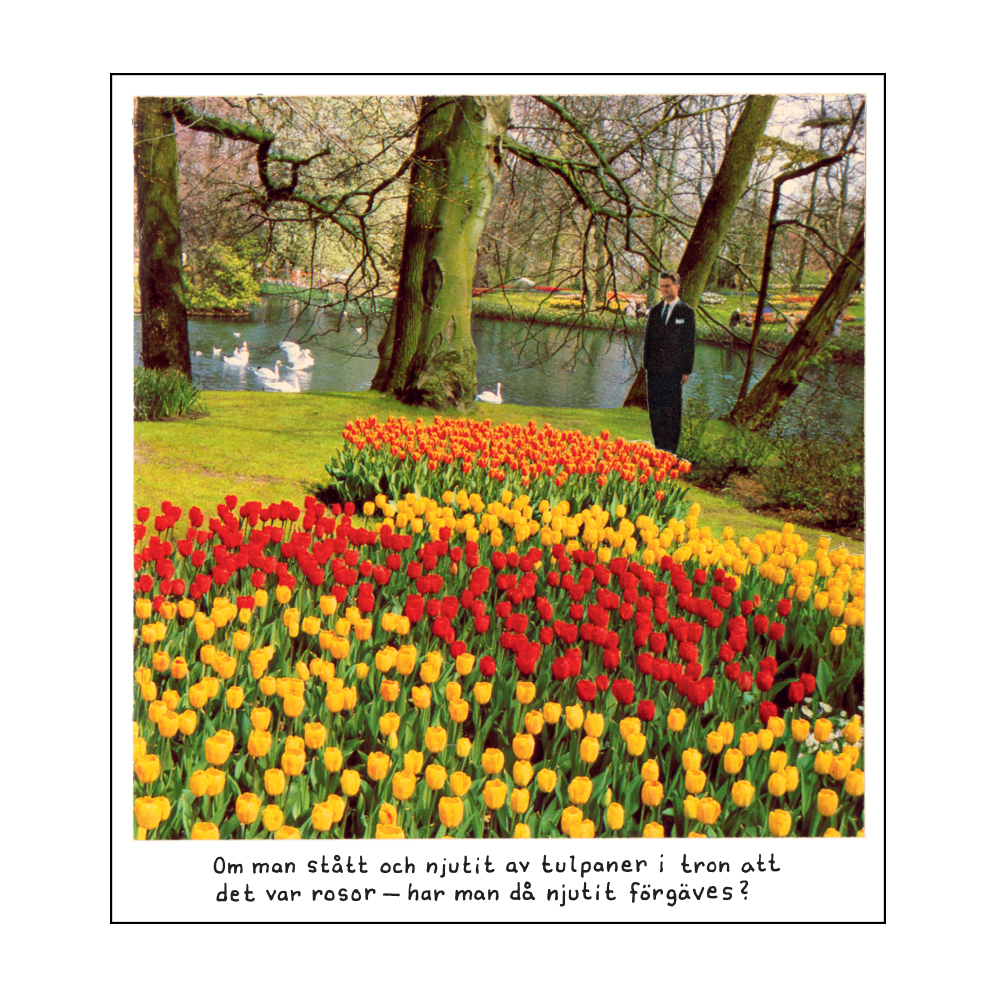 Magnet Jan Stenmark 'Tulpaner'