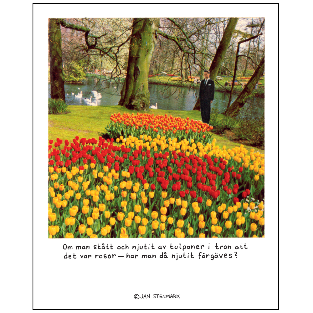 Poster Jan Stenmark 'Tulpaner' small 24x30 cm