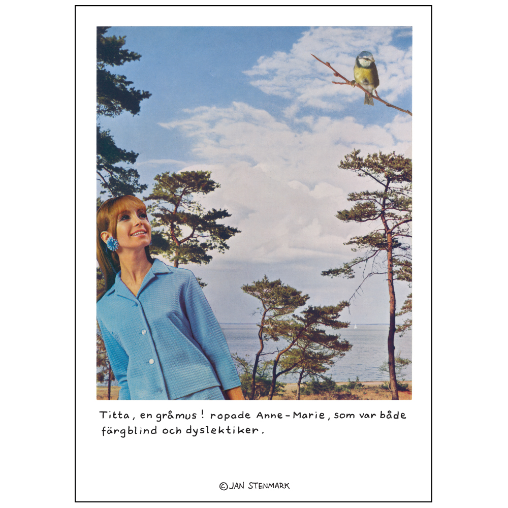 Poster Jan Stenmark "Gråmus" 50x70 cm