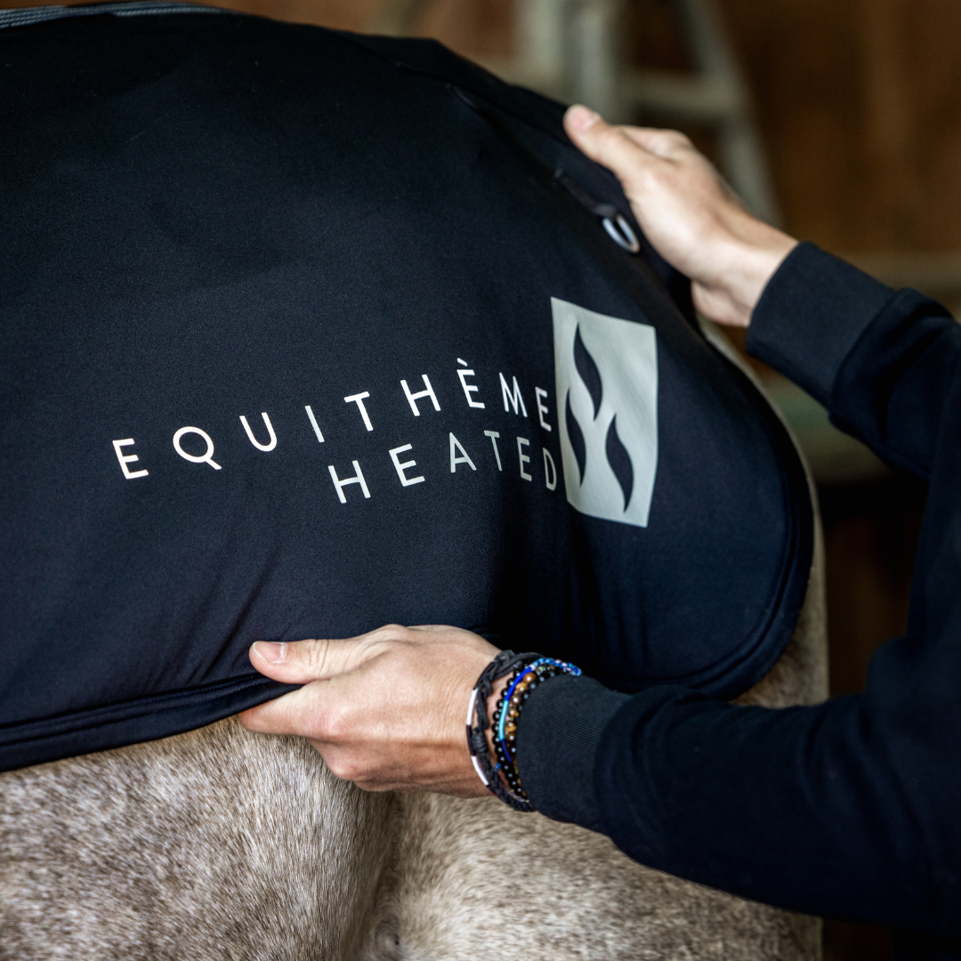 EQUITHÈME HEATED BACK WARMER - 4