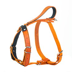 Hundsele ”Globus”