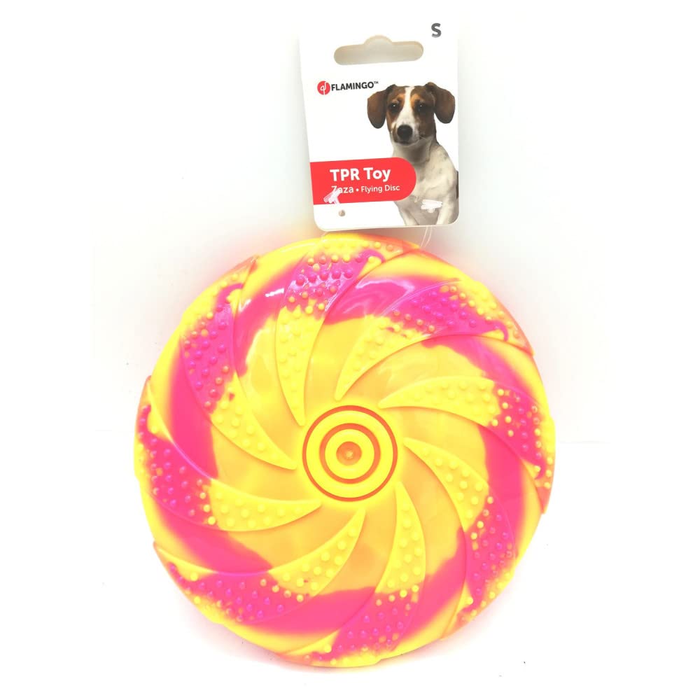 Frisbee